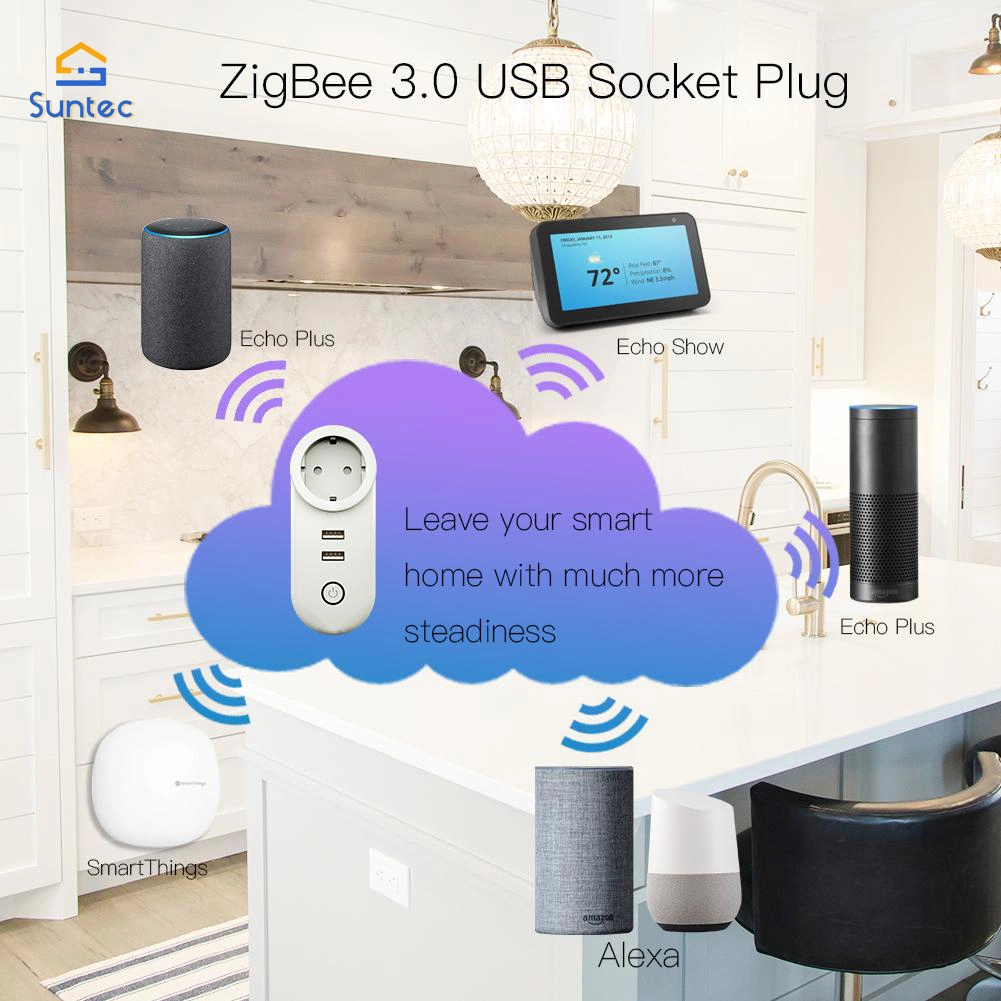 EU/Br/Fr/Au/Il/in/Jp Zigbee Dual USB Wireless Socket Plug