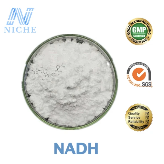 98% Enzymatic Supplements Nadh for Cardiovascular Disease Free Shipping CAS: 606-68-8