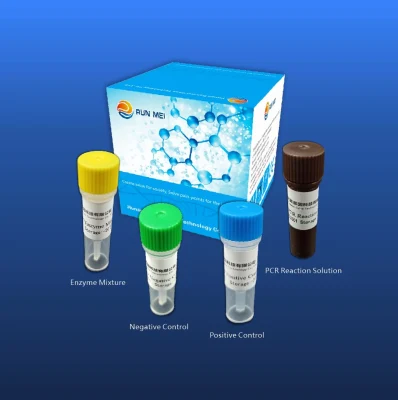Avian Influenza Virus Nucleic Acid Detection Kit