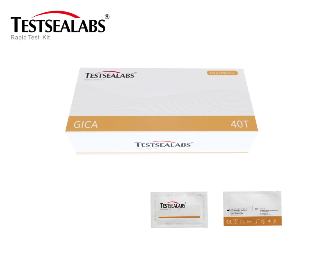 Testsealabs Influenza a Antigen Rapid Test Kit with CE/ISO