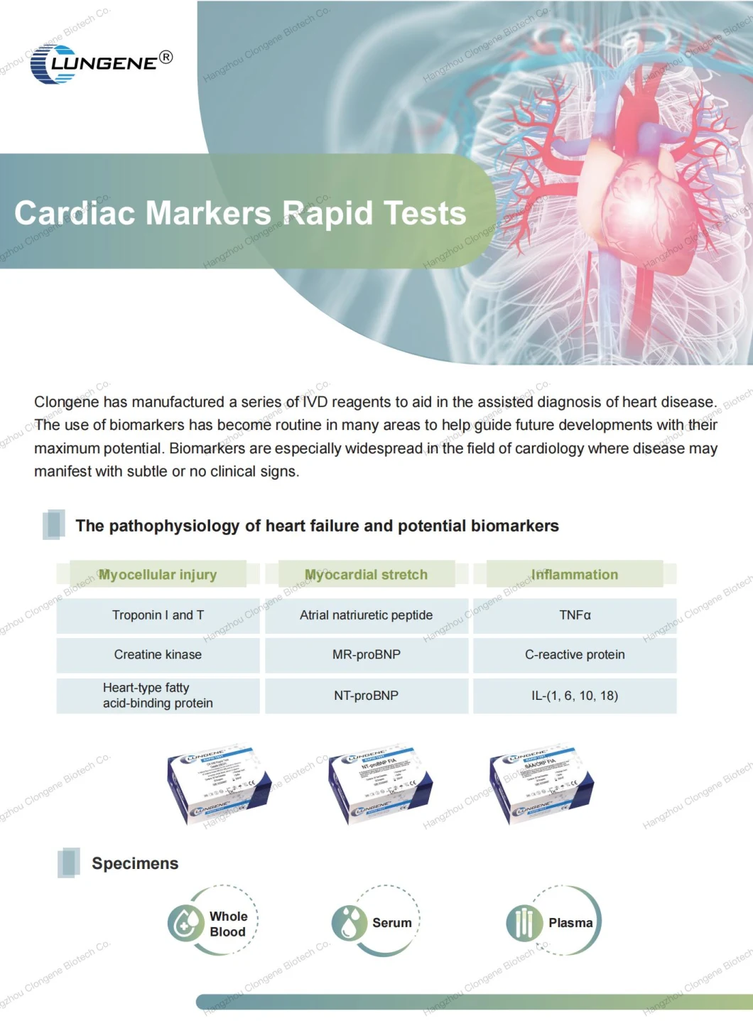 Factory Price CE Approved Ctni Troponin I Cardiac Diagnostic Test Kit (whole blood/serum/plasma)