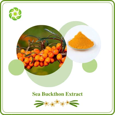 World Well-Being Biotech Flavonoids 5-20% Vitamin C Factory Direct Supply Protect Cardiovascular and Cerebrovascular Diseases Sea Buckthorn Extract