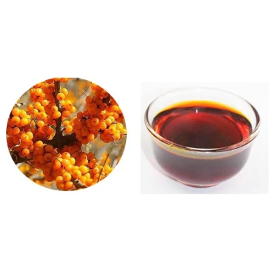 Sea Buckthorn Oil for Treatment of Cardiovascular and Cerebrovascular Diseases